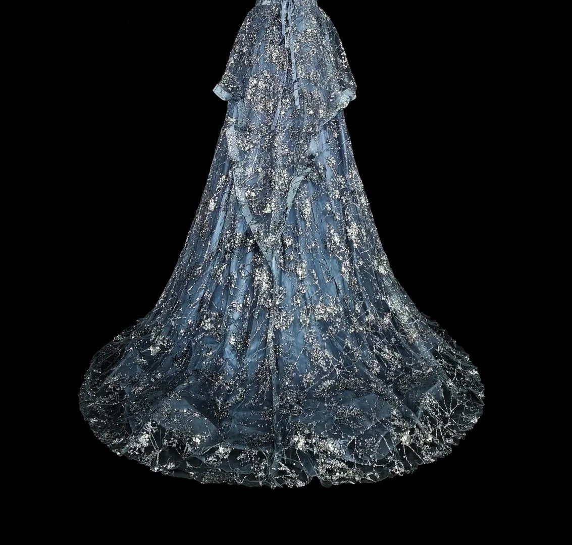 Robe de bal vintage, robe de soirée esthétique à fines bretelles, sequins gris, longue, inspiration robe de soirée formelle N1849