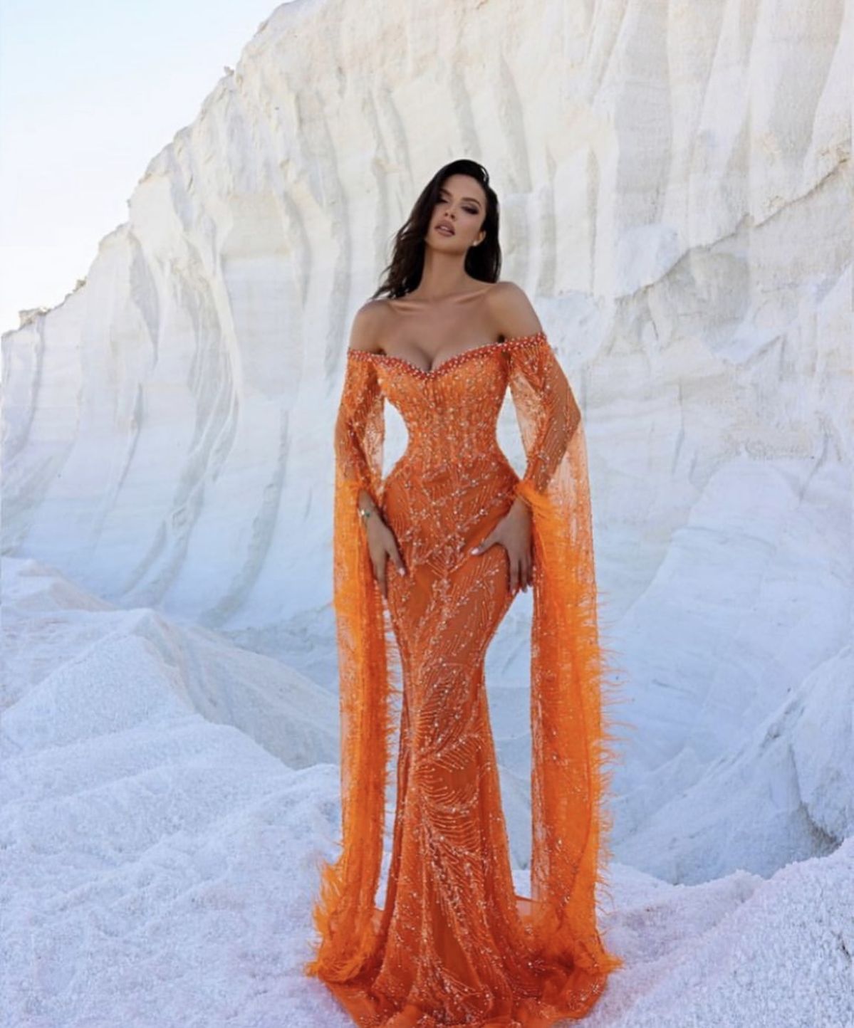 Elegant Formal Prom Dress Floor Length Orange Off The Shoulder Feathers Mermaid Evening Gown for Special Occasions RC0162