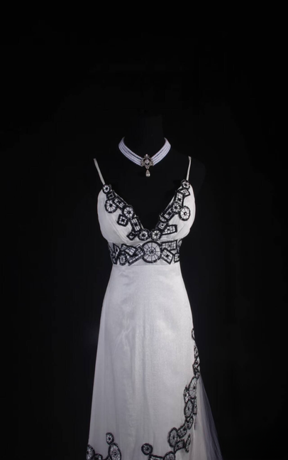 Vintage A line Spaghetti Straps White Tulle Long Prom Dresses Party Dress Princess Graduation Outfits For Women AU566