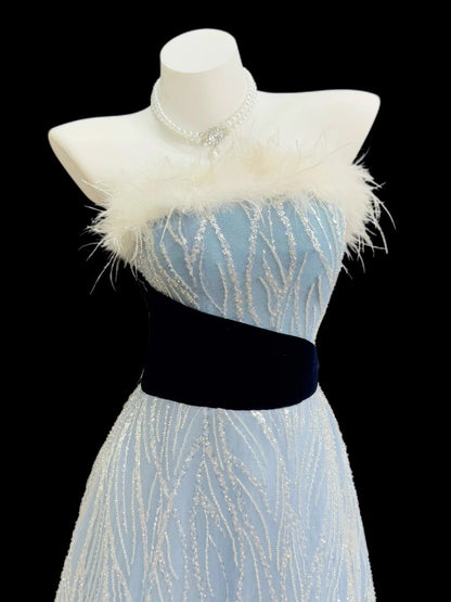 Robes de bal de princesse Formelles Trapèze Sans bretelles Paillettes Bleu clair Avec plumes Robes de soirée longues N4522