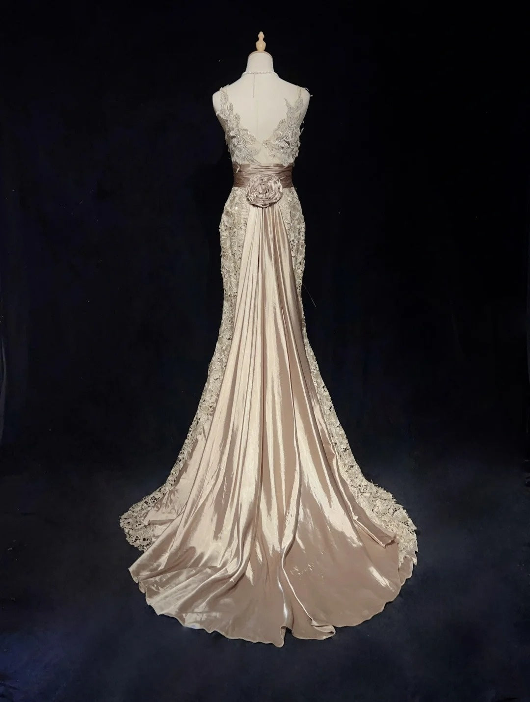 Robes de bal vintage des années 1980 Sirène Col en V Dentelle Rose avec Appliques Perles Longue Robe de Bal N3112