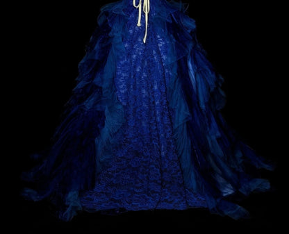 Robe de bal vintage bustier bleu royal en tulle et dentelle, robe de Sweet 16, robe de Quinceañera longue, taille 15, Vestidos De Fiesta N1482