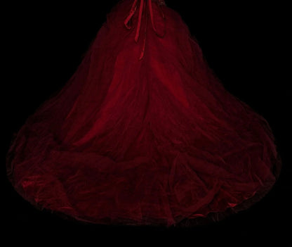 Robe de bal vintage dos nu en tulle bordeaux, robe de quinceañera longue, taille 15, Vestidos De Fiesta N1480