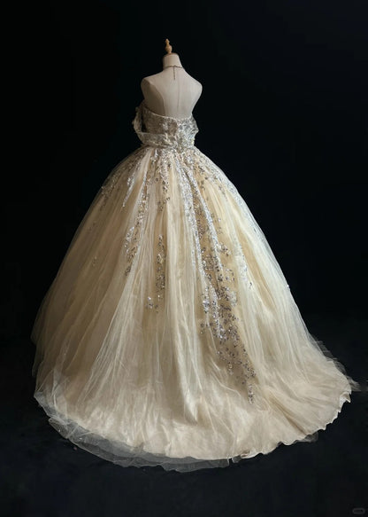 Glamour Ballkleid Abschlussballkleid Off-Shoulder Champagner mit Blumen Formelle Abendgarderobe N3799