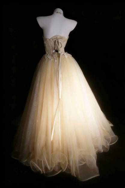 Modestes Robes De Bal De Promo Sans Bretelles En Tulle Champagne Avec Robe Longue De Quinceañera Appliquée N2973