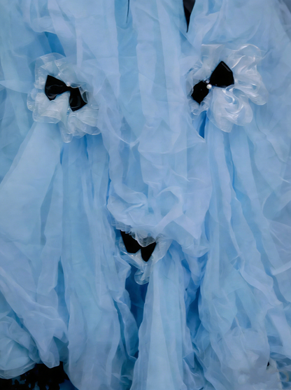 Jolie Robe de Bal Bustier Bleue en Organza Robe de Soirée 16 Ans Robe de Quinceañera N2142