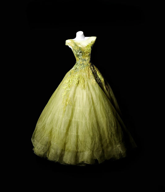 Pretty Ball Gown Scoop Green Tulle Lace Quince Dress Long 15 Quinceanera Dresses Photo Ideas Formal Outfit RB6355