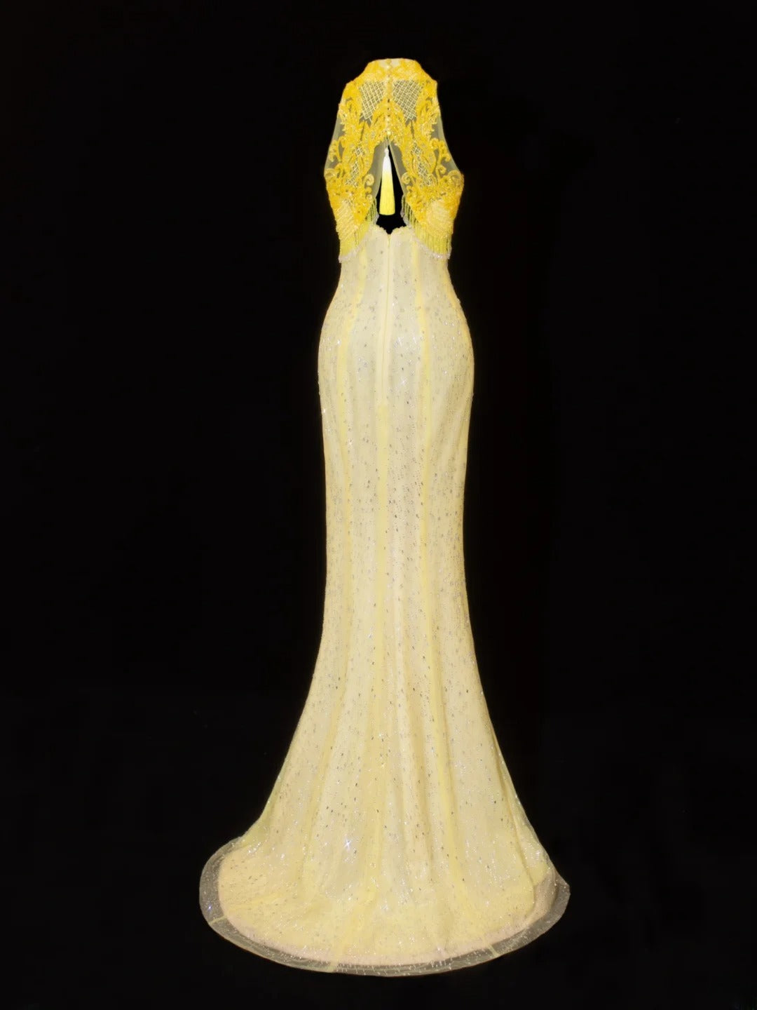 Robe de bal élégante et sobre, coupe sirène, col montant, dentelle jaune et traîne. Robe longue en mousseline de soie, idéale pour les soirées formelles (SA019).