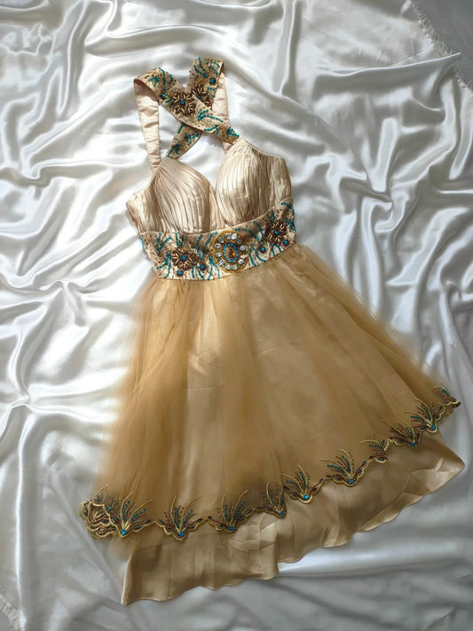 Vintage A-Linien-Kleid mit V-Ausschnitt aus champagnerfarbenem Tüll, kurzes Kleid für den 16. Geburtstag, Homecoming-Kleid, Cocktailkleid AS029