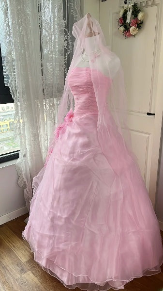 Princess Wedding Dress Ball Gown Strapless Pink With 3D Flowers Bridal Gown for Big Day RC0430