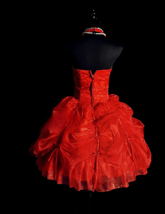 Modest Hoco Dress Homecoming Dresses Ball Gown Halter Red Tulle 16th Birthday Party Outfits RB6384