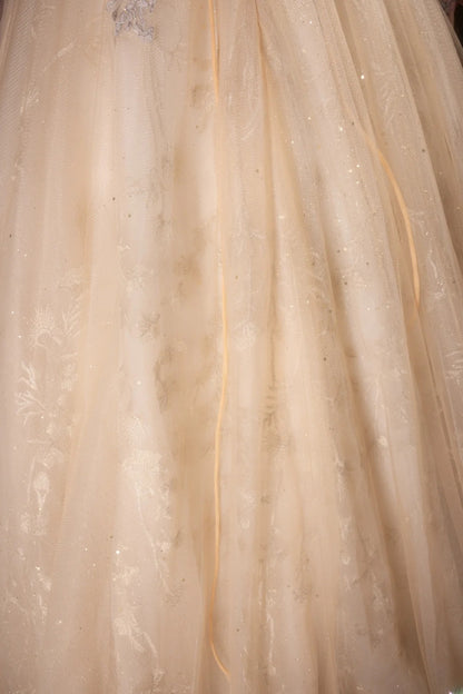 Cute Ball Gown Spaghetti Straps Gold Tulle With Appliqued Long Quince Dress Quinceanera Dresses Formal Birthday Outfits RB8132