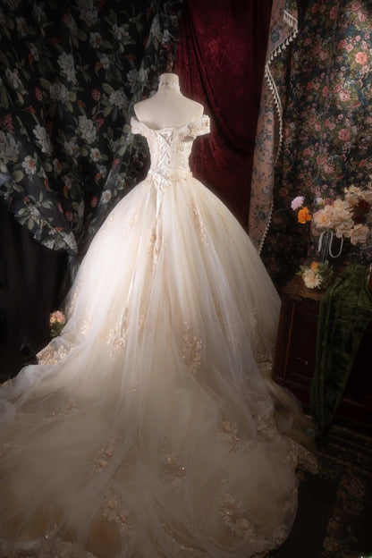 Cute Ball Gown Off The Shoulder Gold Tulle With Appliqued Long Quince Dress Quinceanera Dresses Formal Birthday Outfits RB8133