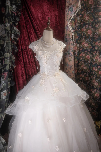 Dreamy Princess Ball Gown Formal Events Scoop With Appliqued Quince Dress Quinceanera Dresses Birthday Outfits RB8269