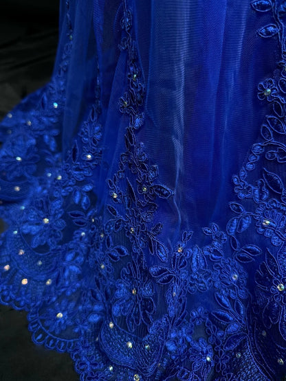 Modest Prom Dresses Mermaid Scoop Royal Blue Backless Tulle With Appliqued Long Party Dress Formal Outfits RB5946