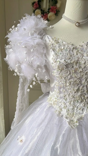 Sweet 15 Quinceanera Dress Ball Gown Lilac With Sleeves Tulle Long 15th Birthday Gown RC0529
