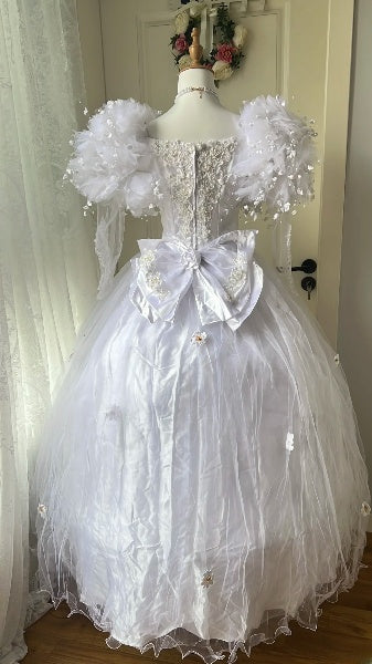Sweet 15 Quinceanera Dress Ball Gown Lilac With Sleeves Tulle Long 15th Birthday Gown RC0529