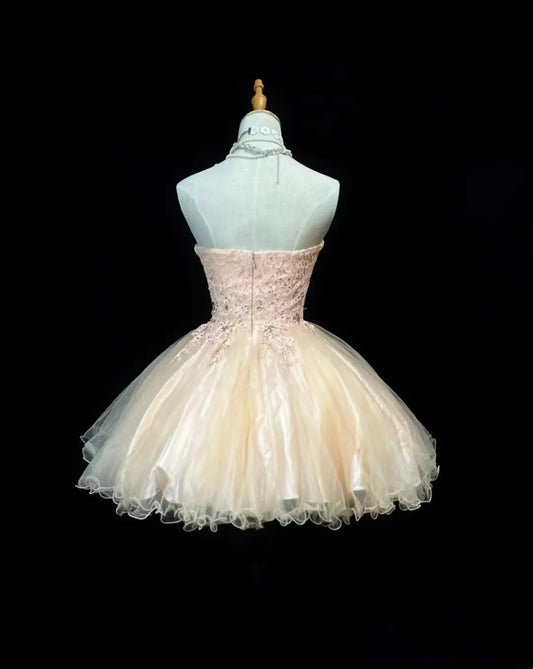 Princess Ball Gown Sweetheart Blush Pink Tulle Short 16th Birthday Gown Homecoming Dresses Ideas Hoco Outfits RB5995