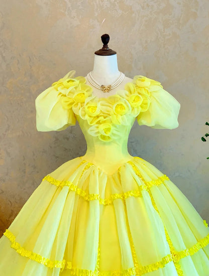 Quinceanera Dress Yellow V Neck With Flowers Floor Length Ball Gown Sweet 15 15th Birthday Gown RB9130