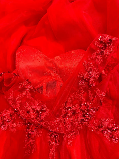 Modest Prom Dresses Ball Gown Scoop Red Tulle With Appliqued Night Evening Formal Outfits RB6158