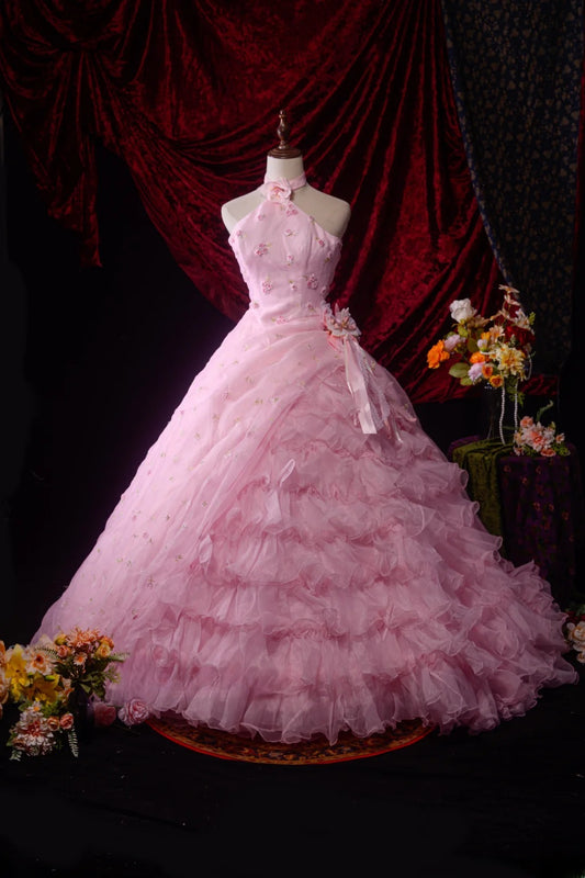 Classic Ball Gown High Neck Pink Tulle Sweet 16 Long Prom Dress Inspiration Party Senior Dance Prom Dresses AU536
