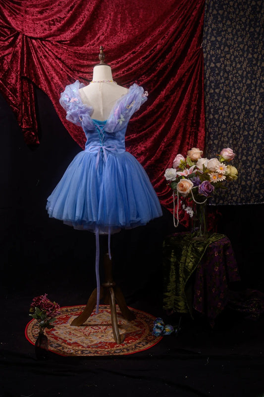 Süßes Ballkleid mit V-Ausschnitt, blauem Tüll, kurzes Quinceañera-Kleid, Homecoming-Kleider, Inspo, Geburtstag, Hoco-Outfits RB8613