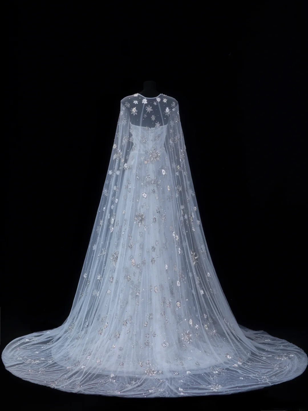 Robe de soirée longue élégante en tulle, coupe trapèze, sans bretelles, avec cape en tulle. Tenue de dîner chic et raffinée. AS616