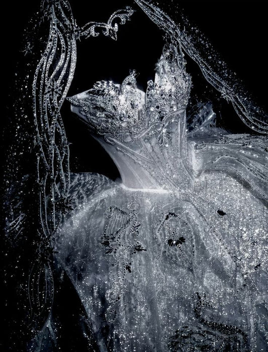 Robe de mariée longue à paillettes argentées et décolleté en cœur, robe de bal de rêve, magnifique robe de mariée formelle B03