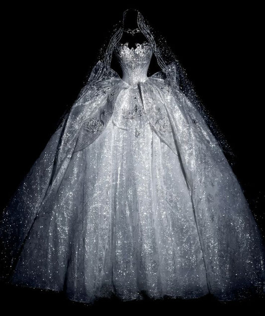 Robe de mariée longue à paillettes argentées et décolleté en cœur, robe de bal de rêve, magnifique robe de mariée formelle B03