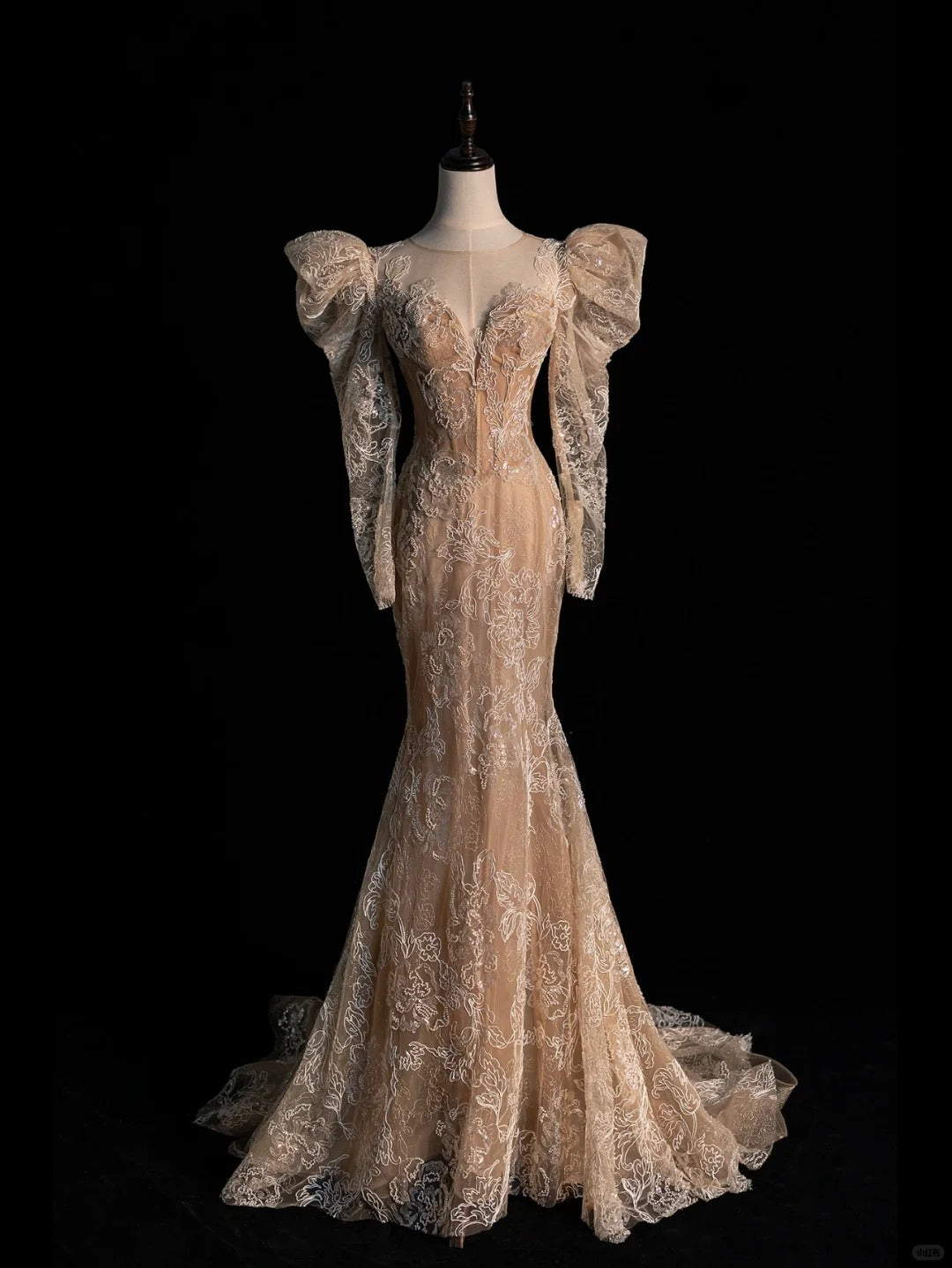 Robe de soirée rétro sirène en dentelle champagne à manches longues, robe de bal de fin d'année, robe de soirée élégante N948