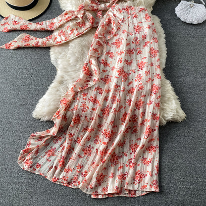 Robe deux pièces imprimée mignonne, robe tendance RF0201